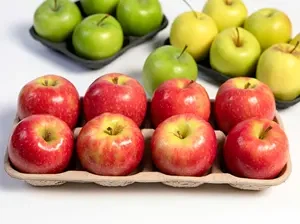 Paper-Apple-Tray Paper-Apple-Tray